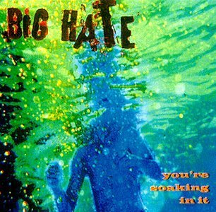 Big Hate/You'Re Soaking In It