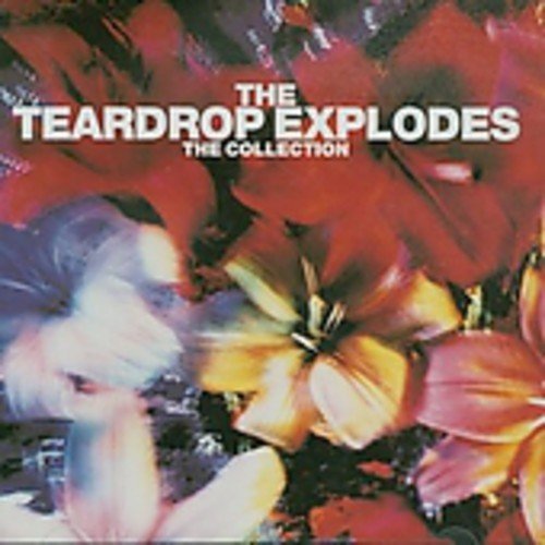 Teardrop Explodes/Collection@Import