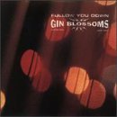 Gin Blossoms/Follow You Down