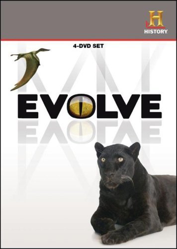 Evolve/Evolve@Nr/4 Dvd