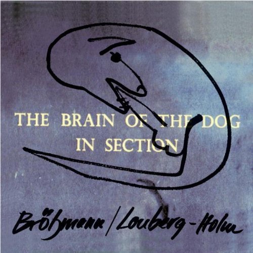 Brotzmann/Lonberg-Holm/Brain Of The Dog In Section