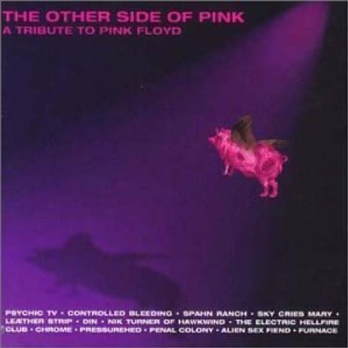 Other Side Of Pink-Pink Flo/Other Side Of Pink-Pink Floyd@Psychic Tv/Din/Furnace/Turner@T/T Pink Floyd