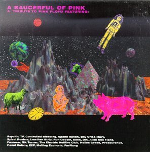 Saucerful Of Pink Tribute To Pink Floyd 