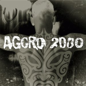 Aggro 2000/Aggro 2000@Rollins Band/Rammstein/Type O@Coal Chamber/Gravity Kills