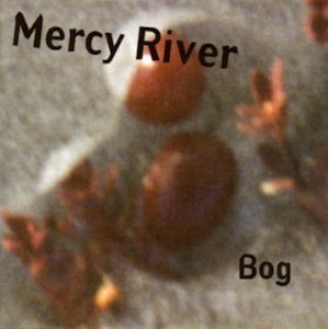 Mercy River Bog 