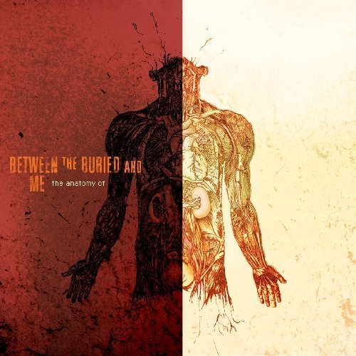 Between The Buried And Me/Anatomy Of