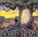 Bobby Boyd Honky Tonk Tree 