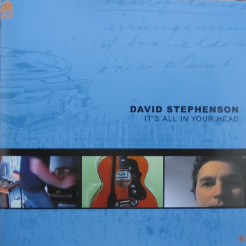 David Stephenson/Its All In Your Head
