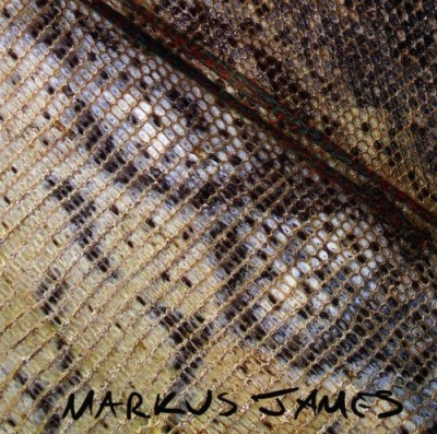 Markus James/Snakeskin Violin