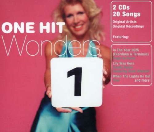 One Hit Wonders/One Hit Wonders@2 Cd Set