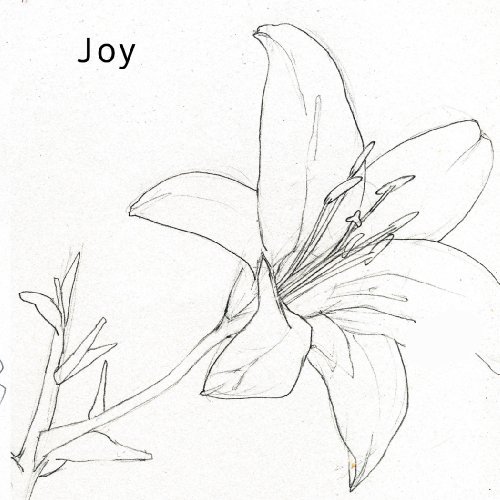 Joy Joy 