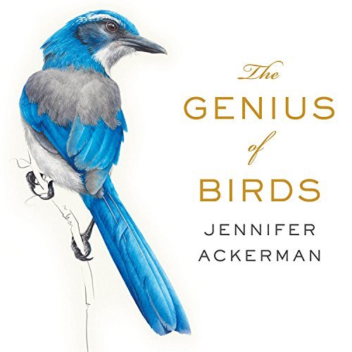 Jennifer Ackerman The Genius Of Birds 