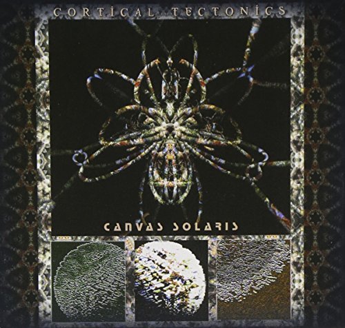 Canvas Solaris/Cortical Tectonics