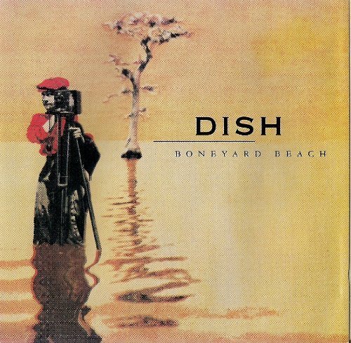 Dish/Boneyard Beach