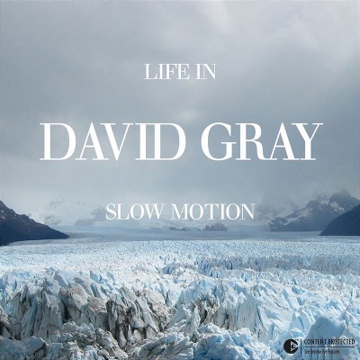 David Gray/Life In Slow Motion@Import-Eu