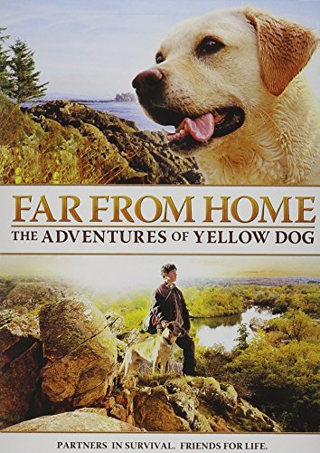 Far From Home Adventures Of Ye Rogers Davison Bradford Bower Ws Pg 