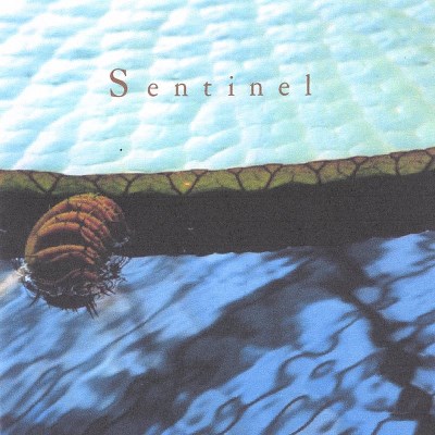 Sentinel/Sentinel