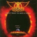 Aerosmith/I Don'T Want To Miss A Thing@Import-Swe