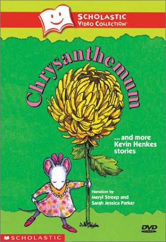 Chrysanthemum Chrysanthemum Clr Nr 