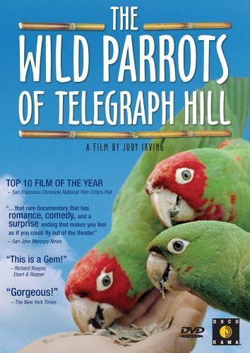 Wild Parrots Of Telegraph Hill/Wild Parrots Of Telegraph Hill@Nr