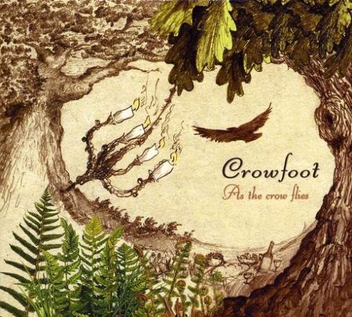 Crowfoot As The Crow Flies 
