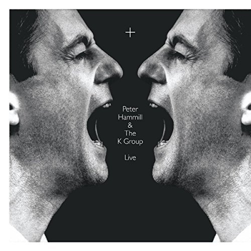 Album Art for + by Peter Hammill