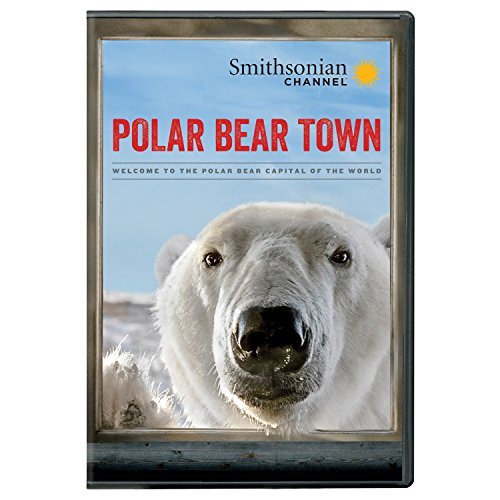 Polar Bear Town/Polar Bear Town@Dvd