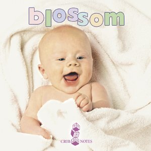 Bedtime Songs For Babies/Blossom@Bedtime Songs For Babies