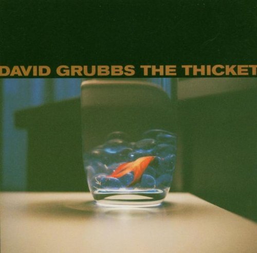 David Grubbs/Thicket