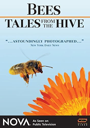 Nova/Nova: Bees-Tales From The Hive@Ws@Nr