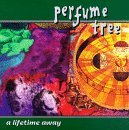 Perfume Tree/Lifetime Away
