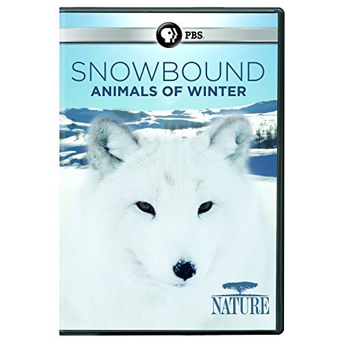Nature/Snowbound: Animals of Winter@PBS/Dvd
