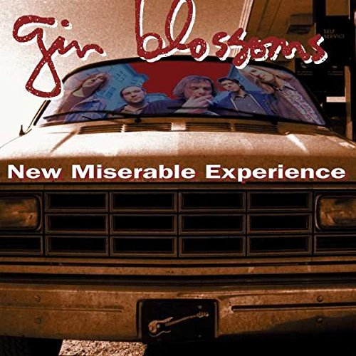 Gin Blossoms/New Miserable Experience@LP