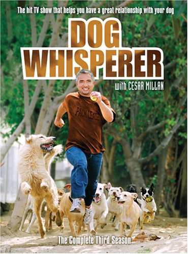 Dog Whisperer/Season 3@Ws@Nr/6 Dvd
