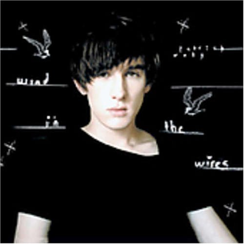Patrick Wolf/Wind In The Wires