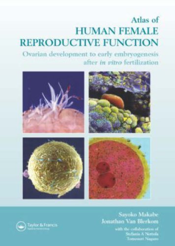 Sayoko Makabe Atlas Of Human Female Reproductive Function Ovarian Development To Early Embryogenesis After 