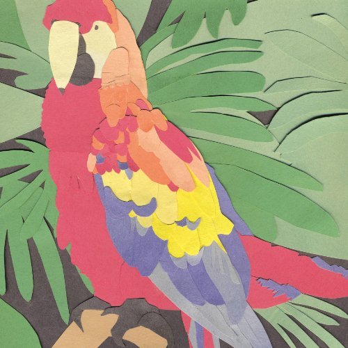 Algernon Cadwallader/Parrot Flies@Import-Gbr
