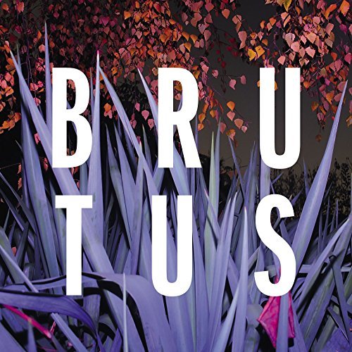 Brutus/Burst@Import-Gbr