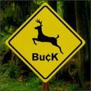 Buck Buck 