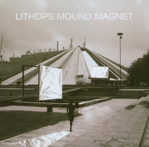 Lithops Mound Magnet 