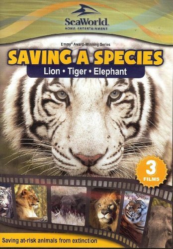 Saving A Species/Lion/Tiger/Elephant