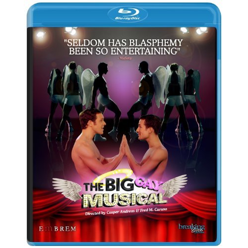 Big Gay Musical/Robinson/Dudding/Metzler@Ws/Blu-Ray@Nr