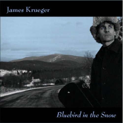 James Krueger/Bluebird In The Snow