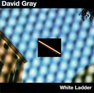 David Gray/White Ladder