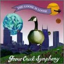 Goose Creek Symphony/Goose Is Loose