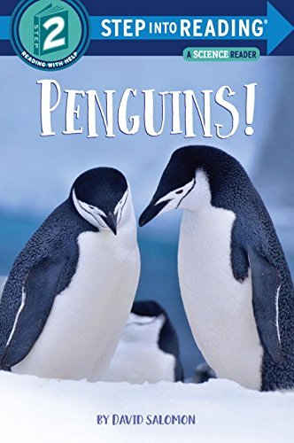 David Salomon Penguins! 