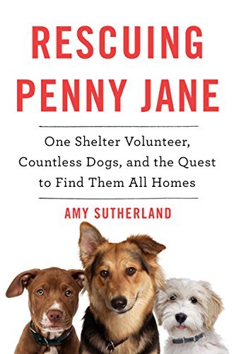 Amy Sutherland/Rescuing Penny Jane@ One Shelter Volunteer, Countless Dogs, and the Qu