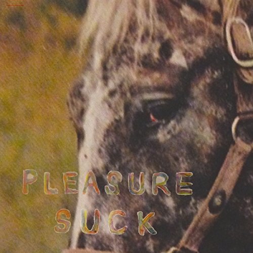 SPIRIT OF THE BEEHIVE/Pleasure Suck
