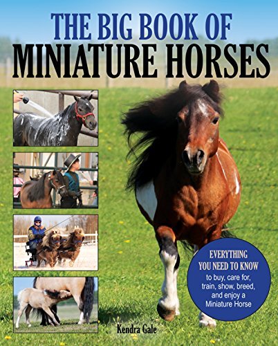 Kendra Gale/The Big Book of Miniature Horses@Everything You Need to Know to Buy, Care For, Tra