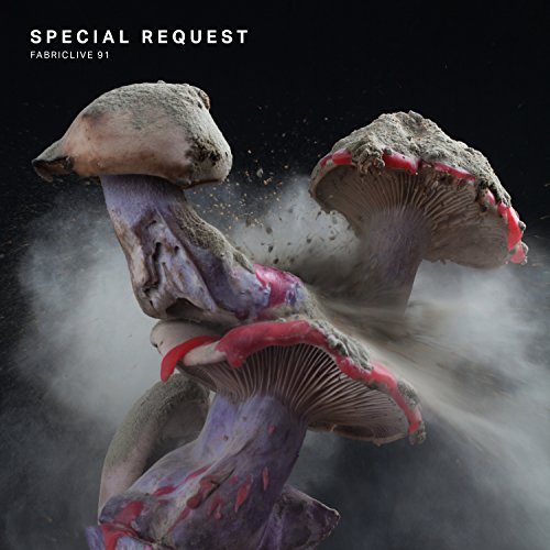 Special Request/FabricLive 91